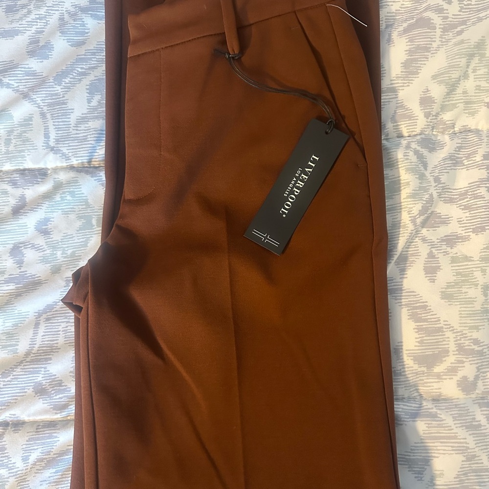 Tailorbyrd Men's Brown Pants